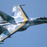 Истребитель Су-27 совершил аварийную посадку в Приморье