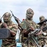 Почти сотня нигерийцев попали в плен к боевикам «Боко Харам»