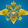 В МВД РФ предложили обязать россиян обосновывать выезд в «неспокойные страны»