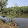 Тело пятилетней девочки обнаружено в пруду в Волгоградской области