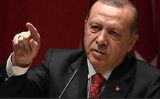 Эрдоган посоветовал Макрону проверить голову на предмет смерти мозга