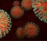 Российские власти ожидают новый всплеск заболеваемости коронавирусом после новогодних праздников