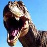В Аргентине обнаружены кости самого крупного динозавра