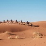 Учёным удалось получить в пустыне питьевую воду из воздуха