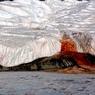 Учёные разгадали тайну Кровавого водопада, бьющего из ледника