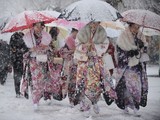 Не менее 11 человек погибло в результате снегопадов в Японии