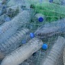Способный спасти планету от пластика фермент обнаружили ученые