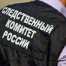СУ СКР проведет проверку по факту заявления жителей Барнаула о живодере