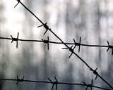 После побега особо опасных заключённых в Дагестане возбудили дело о халатности