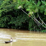 В джунглях Амазонки обнаружено неизвестное племя индейцев