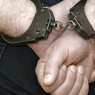 МВД показало запись задержания рецидивиста, взявшего в заложницы 12-летнюю девочку