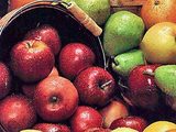 Россельхознадзор снимает запрет с молдавских фруктов