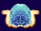 Ученые нашли участок мозга, отвечающий за человеческий разум