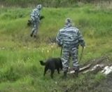 В Смоленской области ищут пропавшего в лесу 91-летнего ветерана