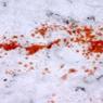 На востоке Москвы застрелили ранее судимого жителя Солнечногорска