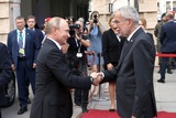 Путин провёл с президентом Австрии переговоры в Сочи