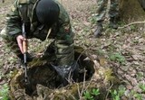 НАК: в Ингушетии найден тайник боевиков с тонной продовольствия