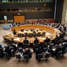 СБ ООН заблокировал предложение РФ и отказался расширять список террористов в Сирии