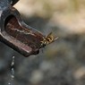 Массовое отравление в Махачкале: глава водоканала задержан