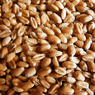Турция сняла ограничения на ввоз пшеницы из РФ
