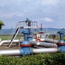 Нефть в Белоруссию поставят пять новых компаний из России