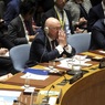 Совбез ООН не поддержал идею РФ пригласить ЛНР и ДНР к обсуждению выборов