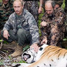 Президентский тигр Кузя наследил в китайском курятнике