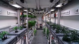 Учёные собрали первый урожай овощей, выращенных в Антарктиде