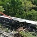 Задержан водитель попавшего в ДТП в Италии туристического автобуса