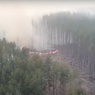 Спутники показали распространение лесных пожаров в Чернобыле