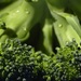 Ученые обнаружили продукт, способный эффективно сократить риск развития рака