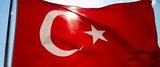 Американский эксперт прокомментировал версию РФ о торговле Турции с ИГ