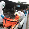 РФ выделила на борьбу с Эболой около 20 млн долларов