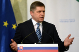 Премьер Словакии намерен обсудить газовый вопрос во время визита в Москву