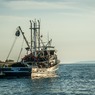 В Японии задержан россиянин - капитан рыболовного судна