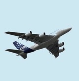 Небесное ЧП: самолет SAS сел в Новосибирске