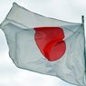 Япония расширила санкции на ЛНР и ДНР
