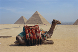Россиянам рекомедовано отдыхать только на 4 курортах Египта
