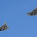 Работоспособность "роя" российских истребителей проверили в реальных боевых условиях