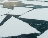 Еще двадцать сахалинских рыбаков сняли со льдины