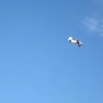 В Красноярском крае разбился самолет Ан-2