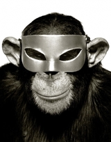 В Пензе задержан грабитель, нападавший на офисы в маске обезьяны