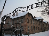 70-летие освобождения Освенцима отметят 300 узников концлагеря
