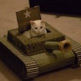 Сибирский инженер посадил кота в самодельный танк