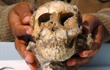 «Самый древний ребёнок в мире» помог учёным понять, как передвигались наши предки