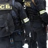 Жительницу Севастополя заподозрили в работе на украинские спецслужбы