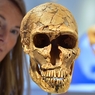 Древний предок потерял в Африке свою челюсть (ФОТО)