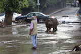 Тбилиси угрожает повторение наводнения из-за нового оползня