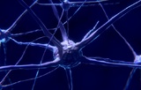 Ученые: потенциал мозга человека сопоставим с работой миллиардов мини-компьютеров
