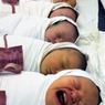 В день открытия Олимпиады Сочи побил рекорд рождаемости